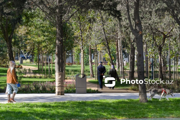 Bakının Nərimanov rayonunda salınan yeni park