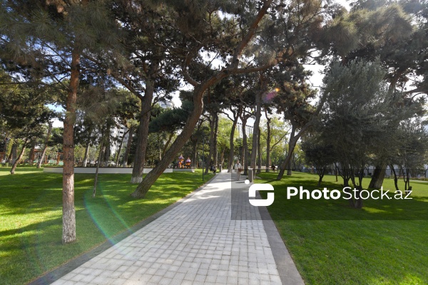 Bakının Nərimanov rayonunda salınan yeni park