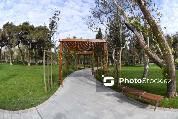 Bakının Nərimanov rayonunda salınan yeni park