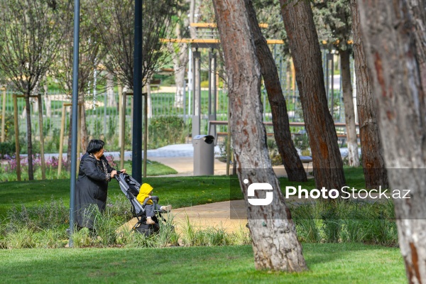 Bakının Nərimanov rayonunda salınan yeni park