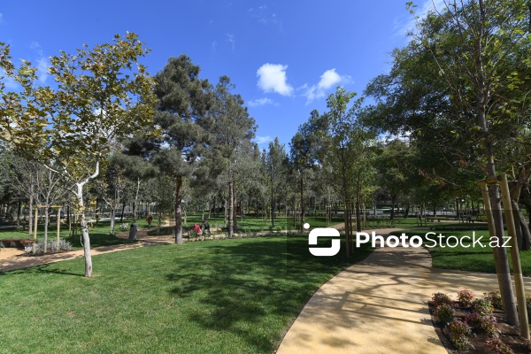 Bakının Nərimanov rayonunda salınan yeni park