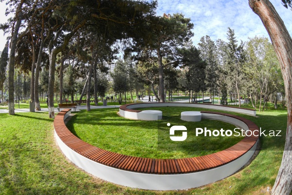 Bakının Nərimanov rayonunda salınan yeni park