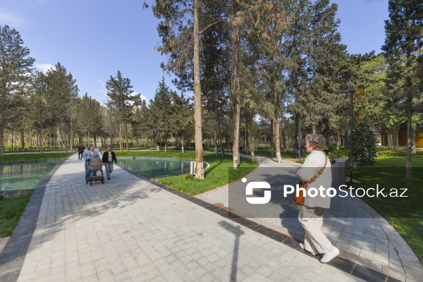 Bakının Nərimanov rayonunda salınan yeni park
