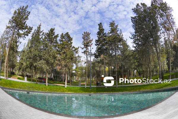 Bakının Nərimanov rayonunda salınan yeni park