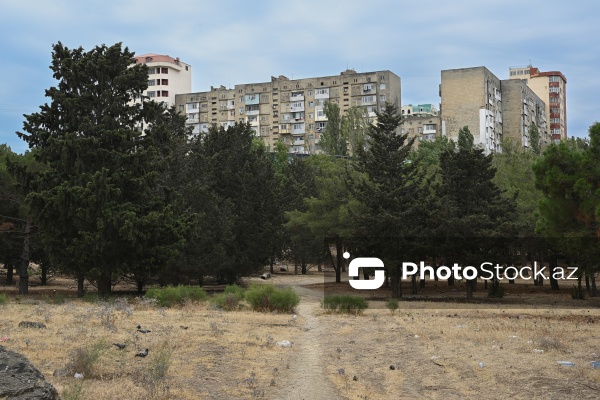 Bakıxanovdakı yaşıllıq ərazidə ağaclar kəsilir, zibillər qalaqlanır