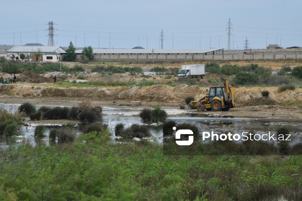 Abşeron rayonu Məhəmmədi kəndində yerləşən göldə balıqlar tələf olub