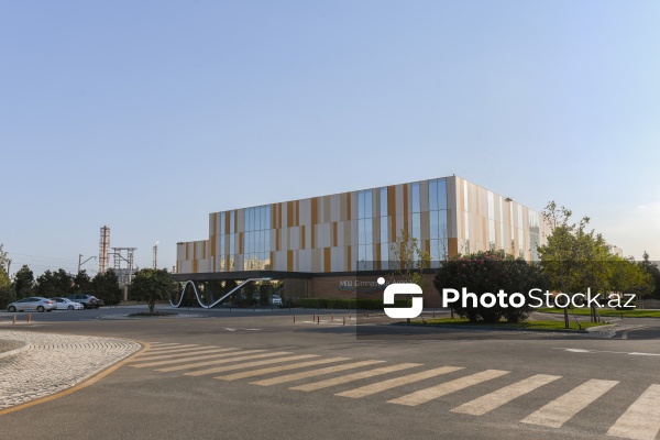 Batut gimnastikası və tamblinq üzrə dünya çempionu Tofiq Əliyev