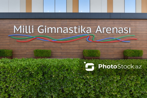 Batut gimnastikası və tamblinq üzrə dünya çempionu Tofiq Əliyev