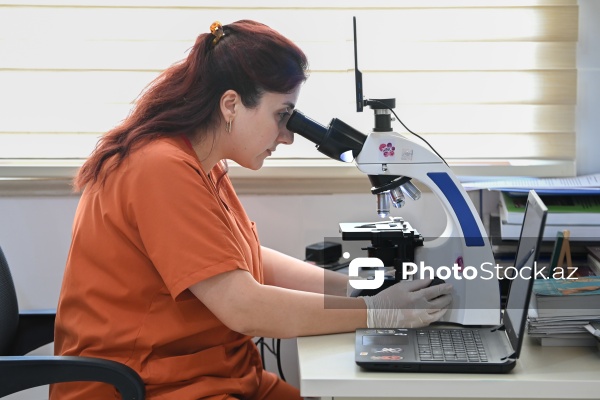 Kənd Təsərrüfatı Nazirliyi Baytarlıq Elmi Tədqiqat İnstutunun Baytarlıq Klinikası