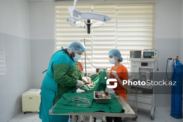 Kənd Təsərrüfatı Nazirliyi Baytarlıq Elmi Tədqiqat İnstutunun Baytarlıq Klinikası