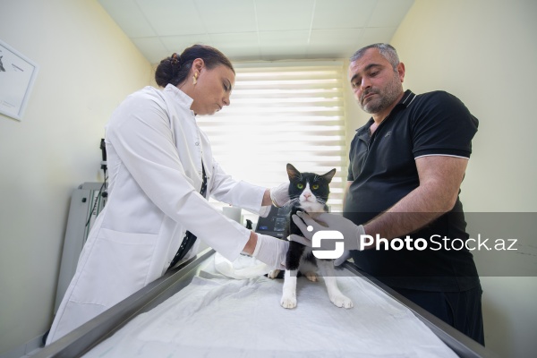 Kənd Təsərrüfatı Nazirliyi Baytarlıq Elmi Tədqiqat İnstutunun Baytarlıq Klinikası