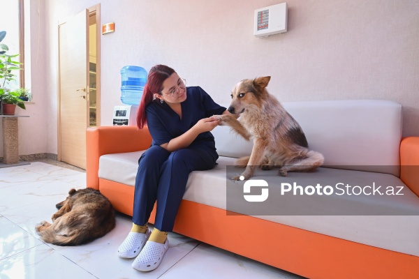 Kənd Təsərrüfatı Nazirliyi Baytarlıq Elmi Tədqiqat İnstutunun Baytarlıq Klinikası