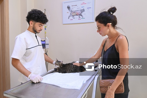 Kənd Təsərrüfatı Nazirliyi Baytarlıq Elmi Tədqiqat İnstutunun Baytarlıq Klinikası