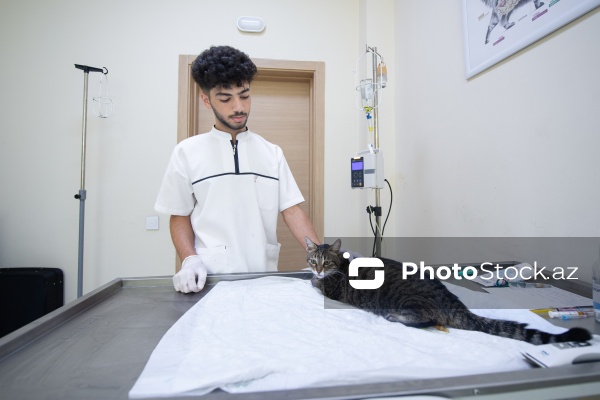 Kənd Təsərrüfatı Nazirliyi Baytarlıq Elmi Tədqiqat İnstutunun Baytarlıq Klinikası