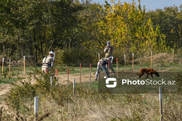 Beynəlxalq səyahətçilərdən ibarət qrupun Qarabağ səfərinin ikinci günü
