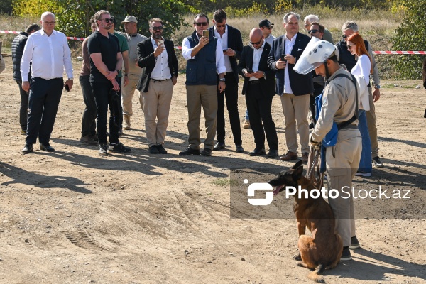 Beynəlxalq səyahətçilərdən ibarət qrupun Qarabağ səfərinin ikinci günü