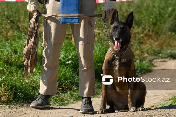 Beynəlxalq səyahətçilərdən ibarət qrupun Qarabağ səfərinin ikinci günü
