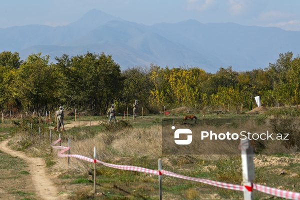 Beynəlxalq səyahətçilərdən ibarət qrupun Qarabağ səfərinin ikinci günü