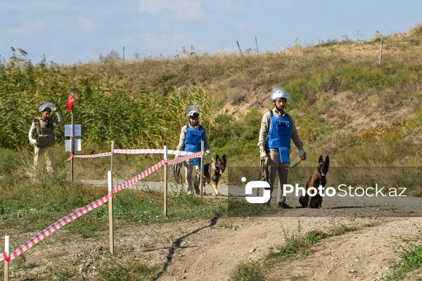 Beynəlxalq səyahətçilərdən ibarət qrupun Qarabağ səfərinin ikinci günü