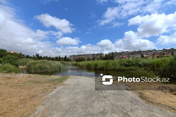 Binəqədi rayonunda yerləşən 8 hektarlıq baxımsız park