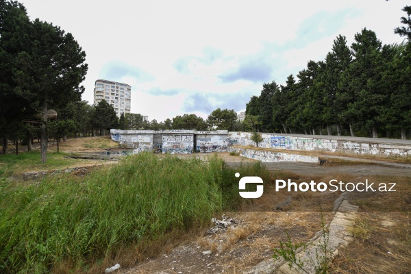Binəqədi rayonunda yerləşən 8 hektarlıq baxımsız park