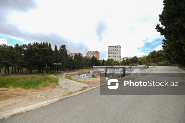 Binəqədi rayonunda yerləşən 8 hektarlıq baxımsız park