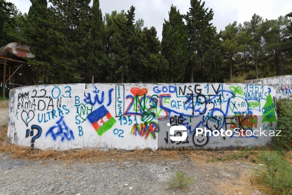 Binəqədi rayonunda yerləşən 8 hektarlıq baxımsız park