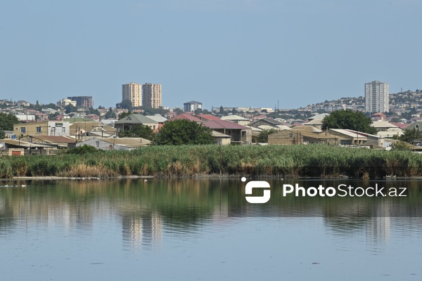 Xocasən gölü ətrafında yaranan antisanitar vəziyyət