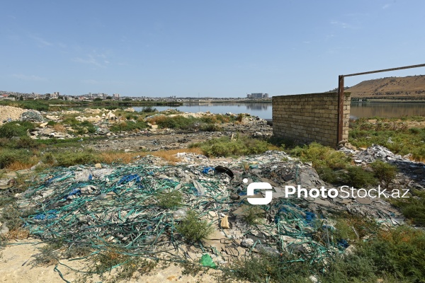 Xocasən gölü ətrafında yaranan antisanitar vəziyyət