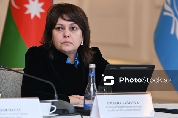 Umayra Tağıyeva - BMT-nin Davamlı İnkişaf üzrə Əməkdaşlıq Çərçivəsinin Yüksək Səviyyəli Birgə Rəhbər Komitəsinin iclasında