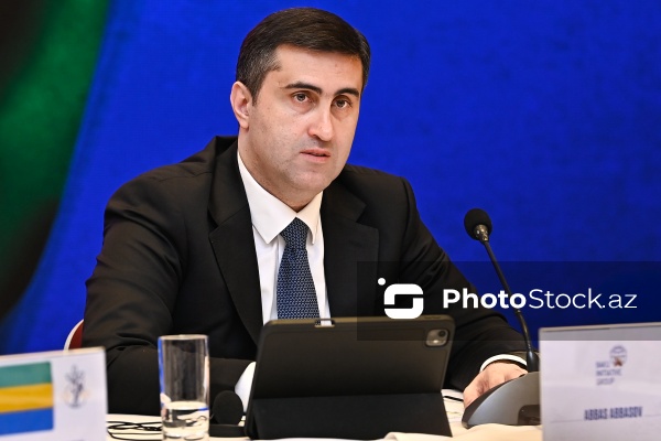 Abbas Abbasov - Gənclərin postkolonial dövrdə roluna həsr olunmuş beynəlxalq forumda
