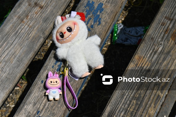 Bülbülə qəsəbəsində yerləşən baxımsız park