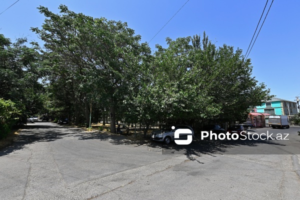 Bülbülə qəsəbəsində yerləşən baxımsız park