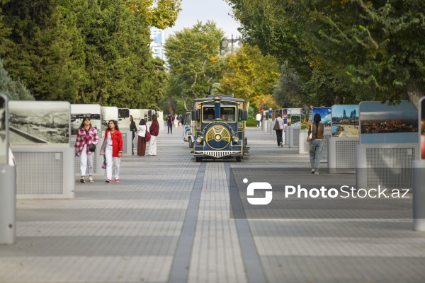 Dənizkənarı Milli Park ərazisində fəaliyyət göstərən avtoqatarlar