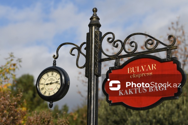 Dənizkənarı Milli Park ərazisində fəaliyyət göstərən avtoqatarlar