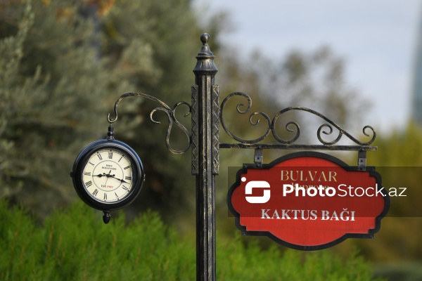 Dənizkənarı Milli Park ərazisində fəaliyyət göstərən avtoqatarlar