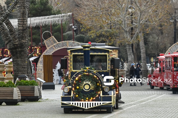 Dənizkənarı Milli Park ərazisində fəaliyyət göstərən avtoqatarlar