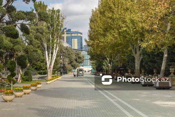 Dənizkənarı Milli Park ərazisində fəaliyyət göstərən avtoqatarlar