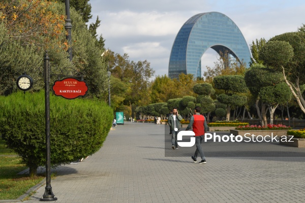 Dənizkənarı Milli Park ərazisində fəaliyyət göstərən avtoqatarlar