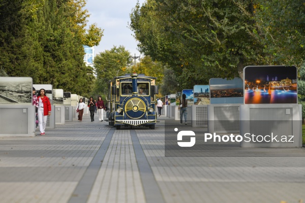 Dənizkənarı Milli Park ərazisində fəaliyyət göstərən avtoqatarlar