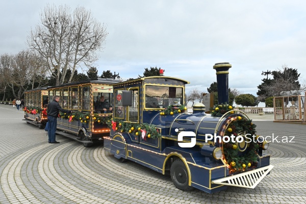 Dənizkənarı Milli Park ərazisində fəaliyyət göstərən avtoqatarlar