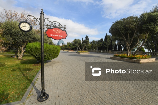 Dənizkənarı Milli Park ərazisində fəaliyyət göstərən avtoqatarlar