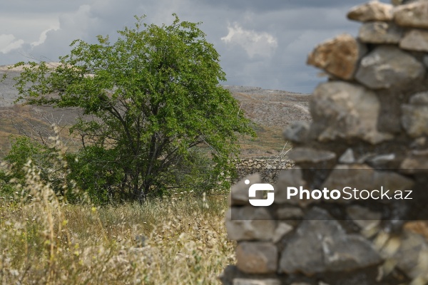 Cəbrayılın Böyük Mərcanlı, Karxulu, Sarıcallı və Maşanlı kəndləri