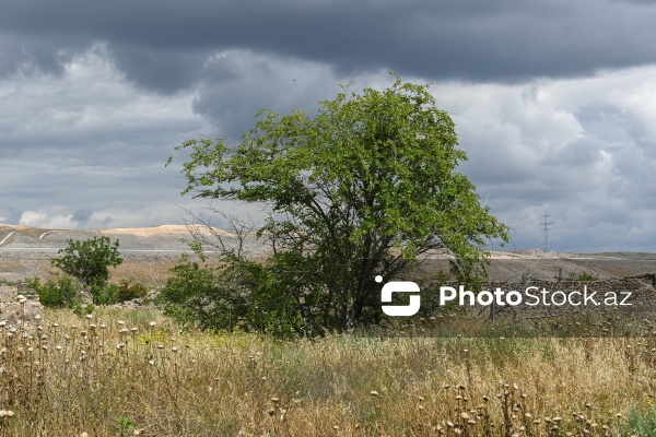 Cəbrayılın Böyük Mərcanlı, Karxulu, Sarıcallı və Maşanlı kəndləri