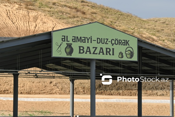 Cəbrayılın Horovlu kəndinə təşkil olunan mediatur