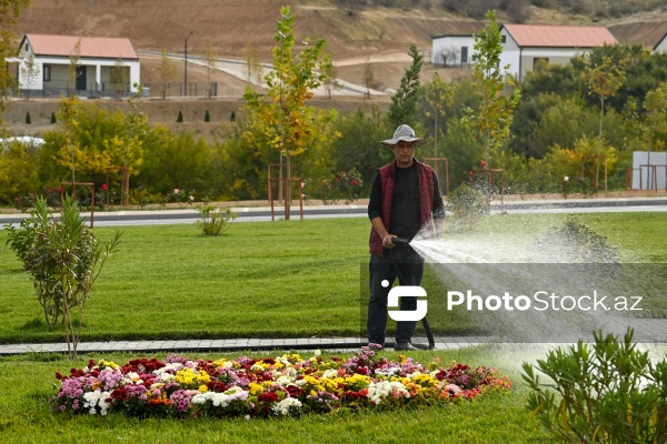 Cəbrayılın Horovlu kəndinə təşkil olunan mediatur