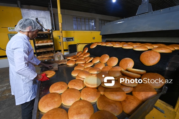 Müxtəlif növ çörək məhsullarının hazırlandığı un məmulatları sexi