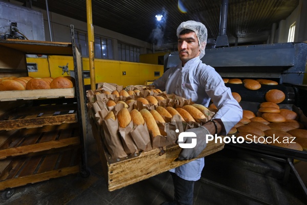 Müxtəlif növ çörək məhsullarının hazırlandığı un məmulatları sexi