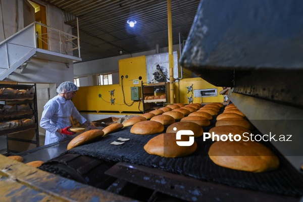 Müxtəlif növ çörək məhsullarının hazırlandığı un məmulatları sexi