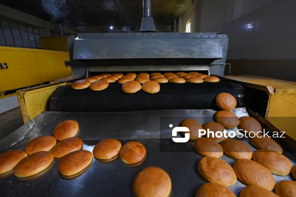 Müxtəlif növ çörək məhsullarının hazırlandığı un məmulatları sexi